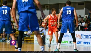 Viola Orlandina (25)