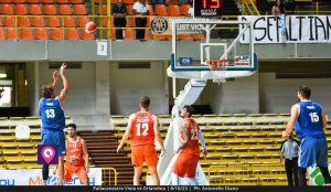 Viola Orlandina (29)