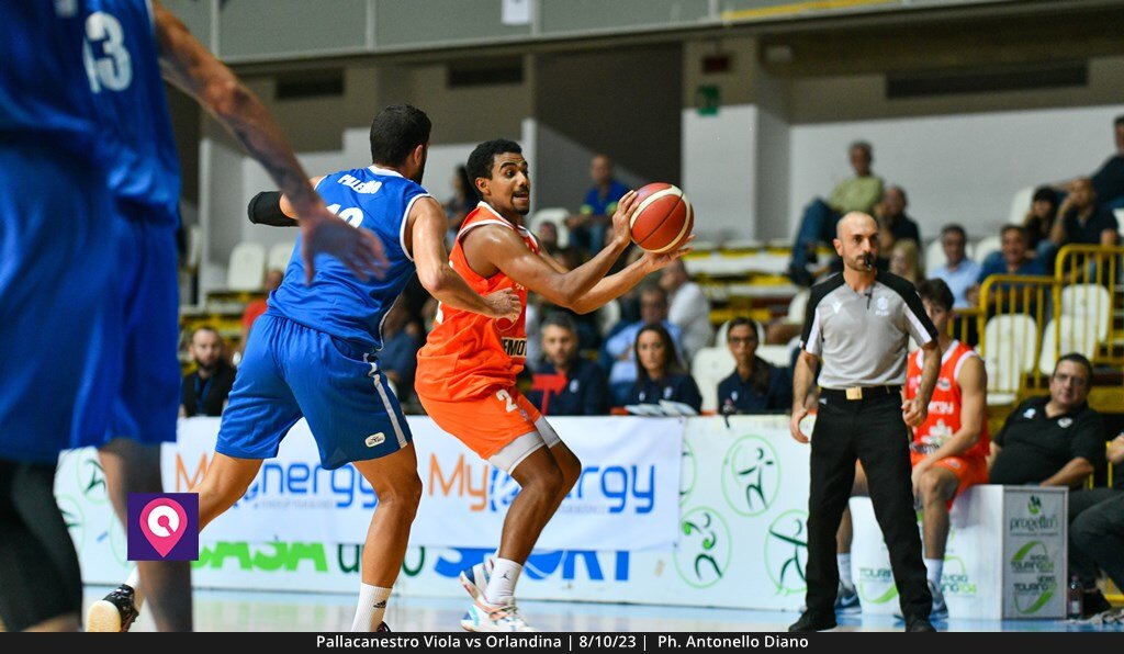 Viola Orlandina (31)