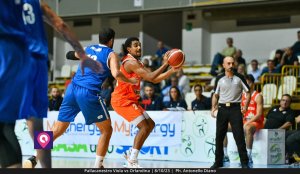 Viola Orlandina (31)