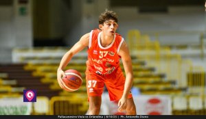 Viola Orlandina (35)