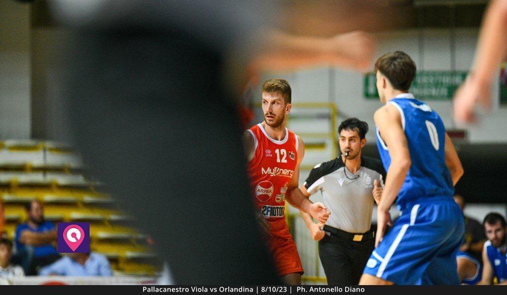 Viola Orlandina (37)