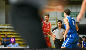 Viola Orlandina (37)