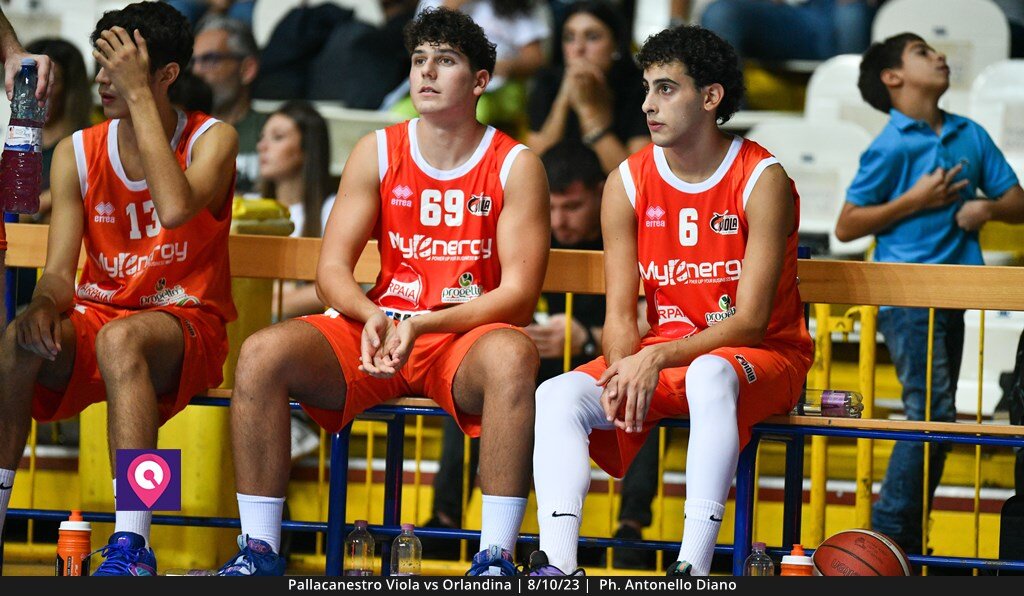 Viola Orlandina (39)