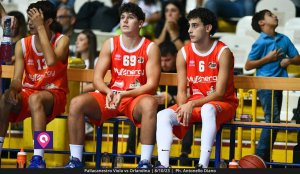 Viola Orlandina (39)