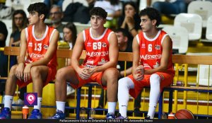 Viola Orlandina (40)