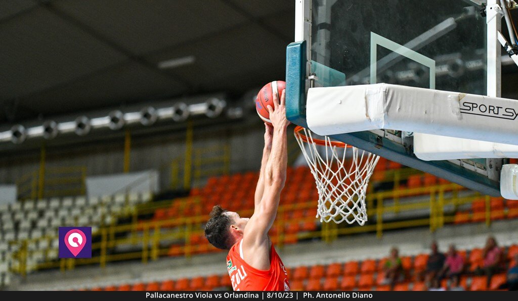 Viola Orlandina (41)