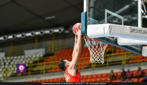 Viola Orlandina (41)