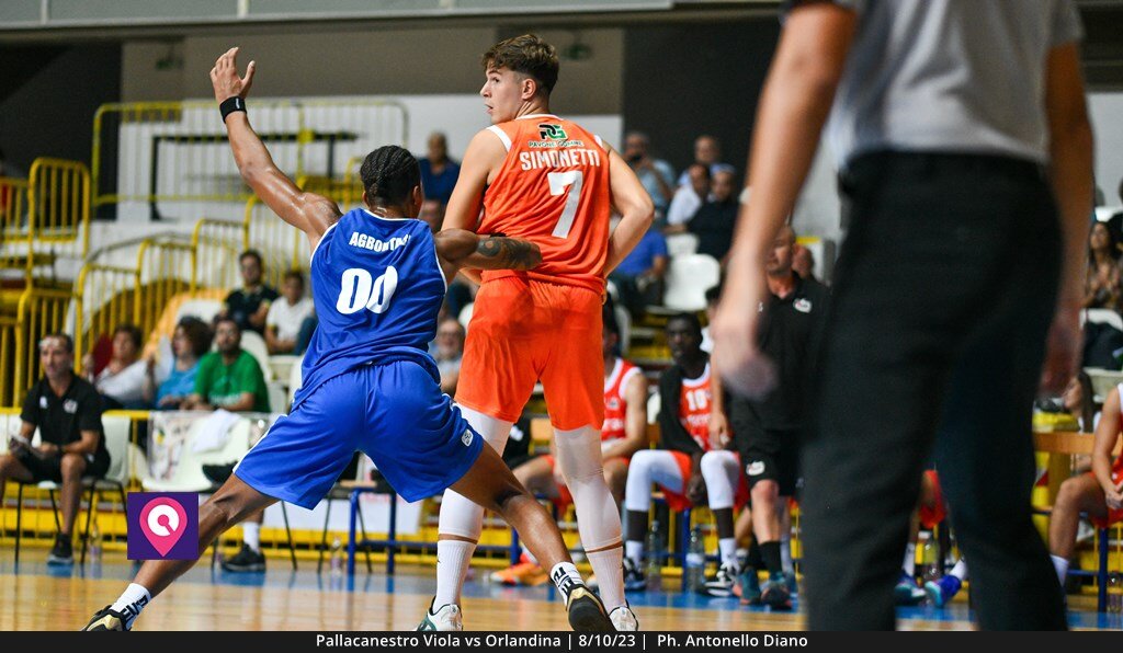 Viola Orlandina (43)