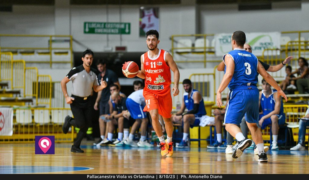 Viola Orlandina (44)