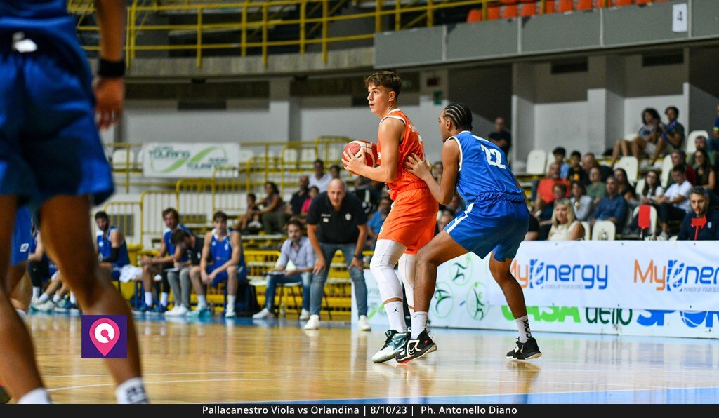 Viola Orlandina (45)