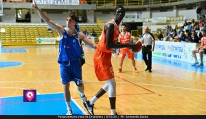 Viola Orlandina (48)