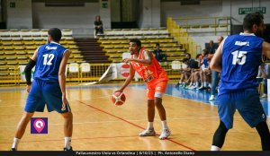 Viola Orlandina (49)