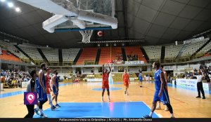 Viola Orlandina (50)