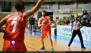 Viola Orlandina (51)