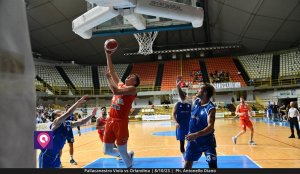 Viola Orlandina (52)