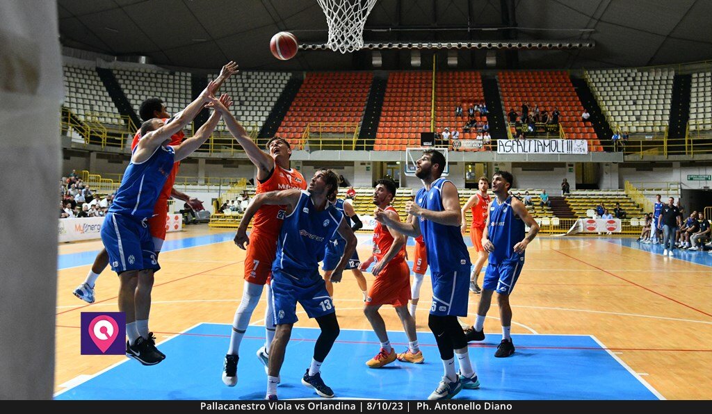 Viola Orlandina (53)