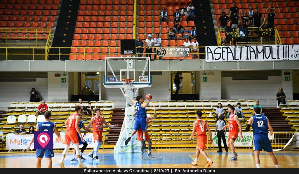 Viola Orlandina (54)