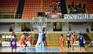 Viola Orlandina (54)