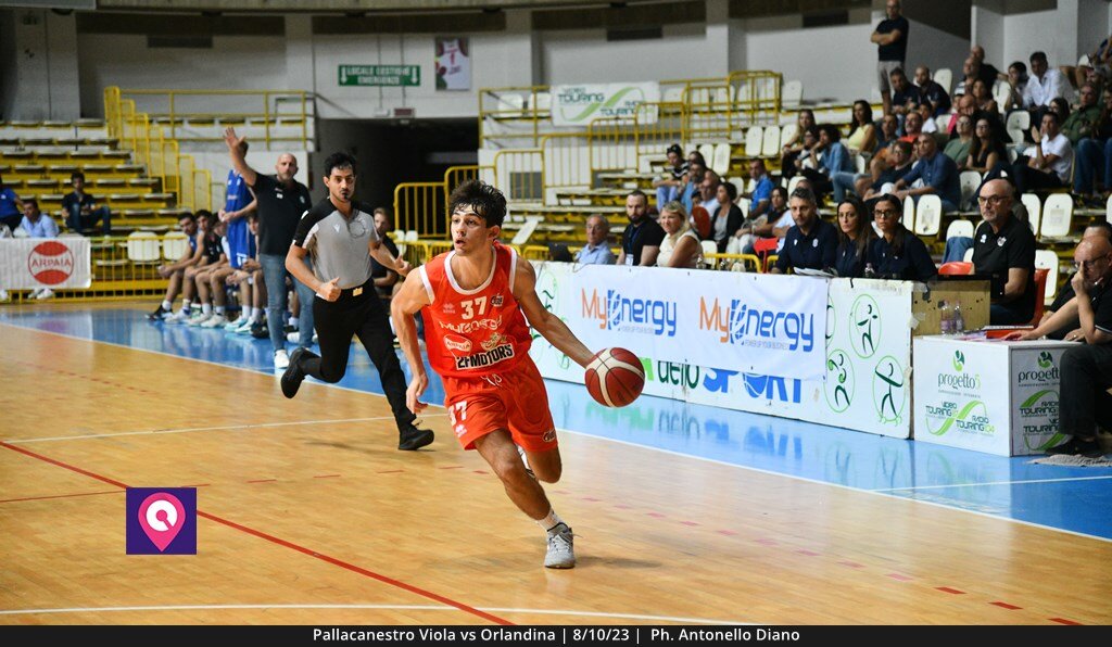 Viola Orlandina (55)