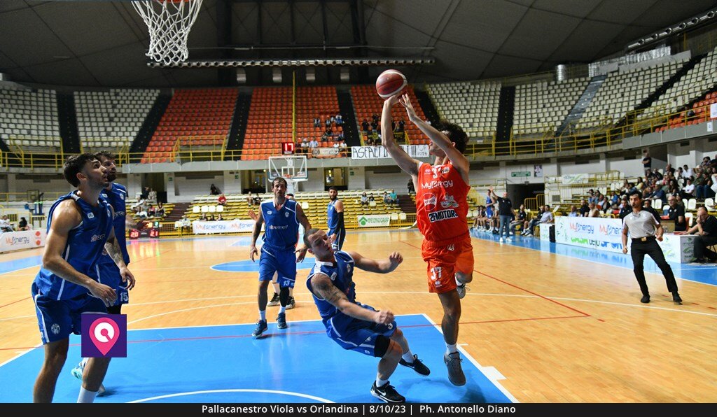 Viola Orlandina (56)