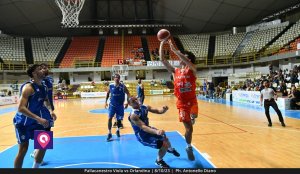 Viola Orlandina (56)