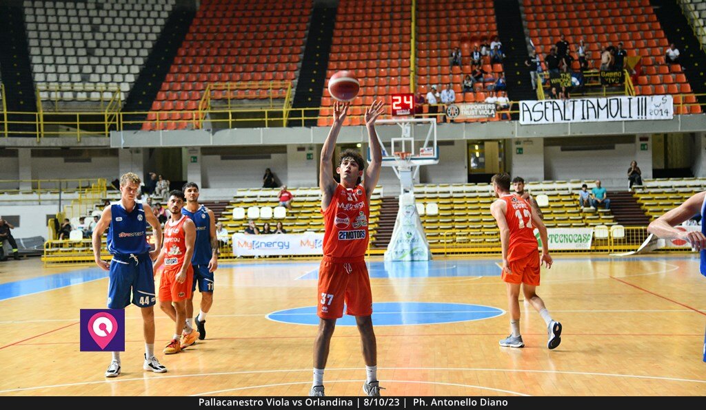 Viola Orlandina (57)