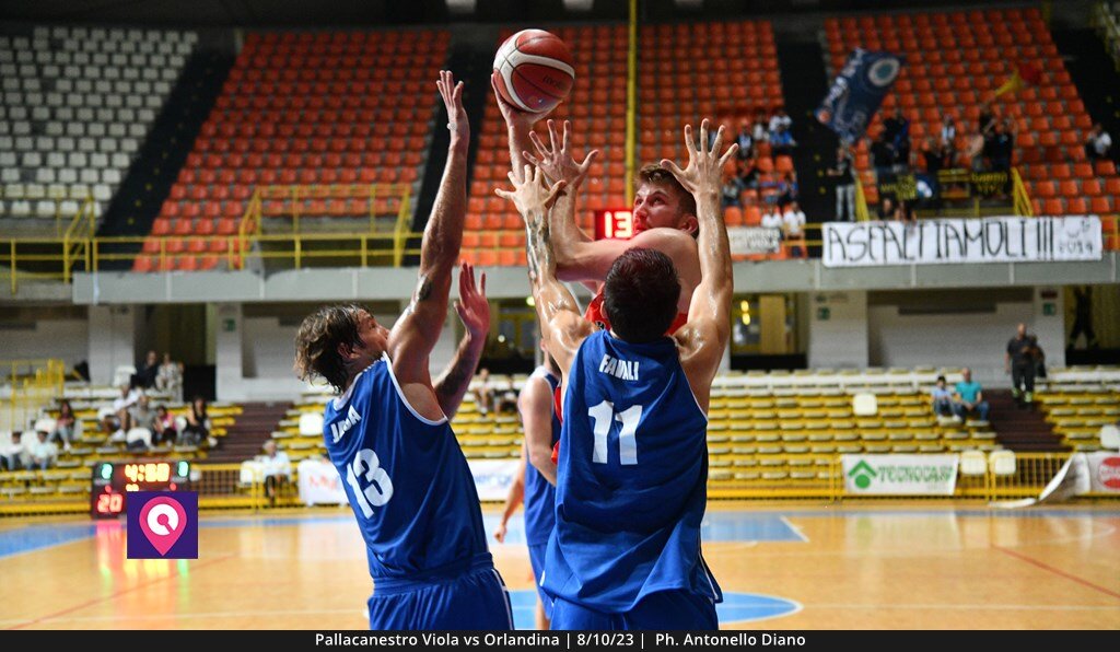 Viola Orlandina (58)