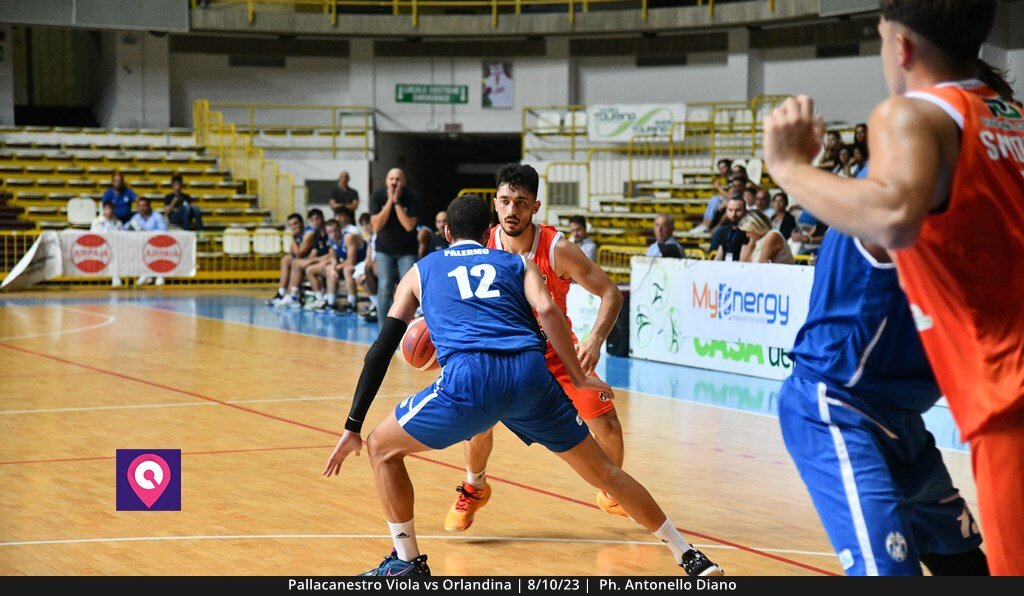 Viola Orlandina (59)