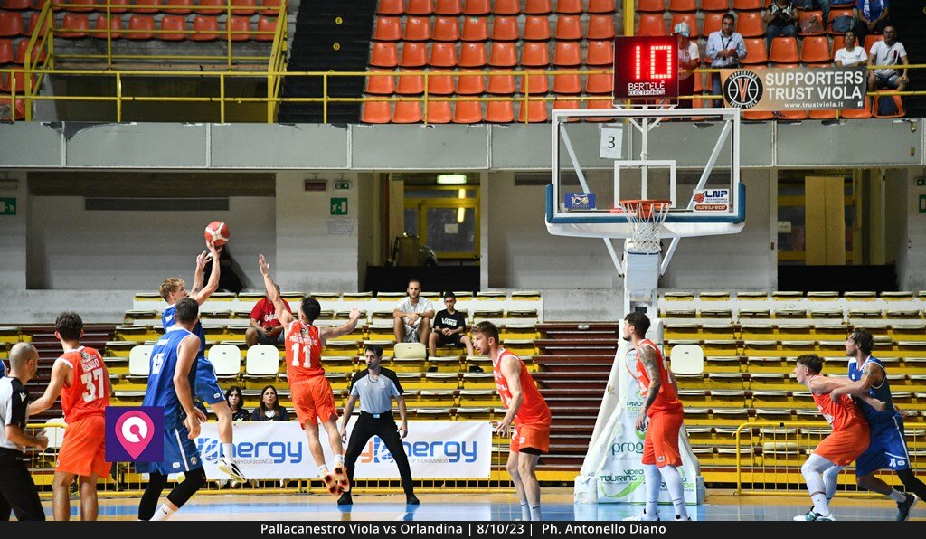 Viola Orlandina (61)