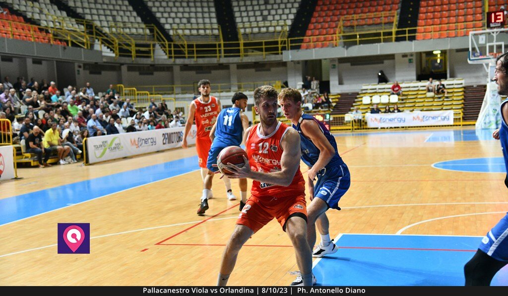 Viola Orlandina (62)