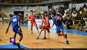 Viola Orlandina (63)