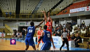 Viola Orlandina (64)