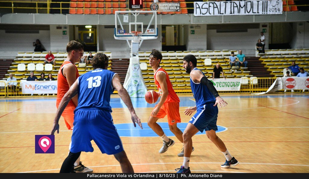 Viola Orlandina (65)