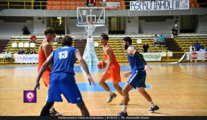 Viola Orlandina (65)