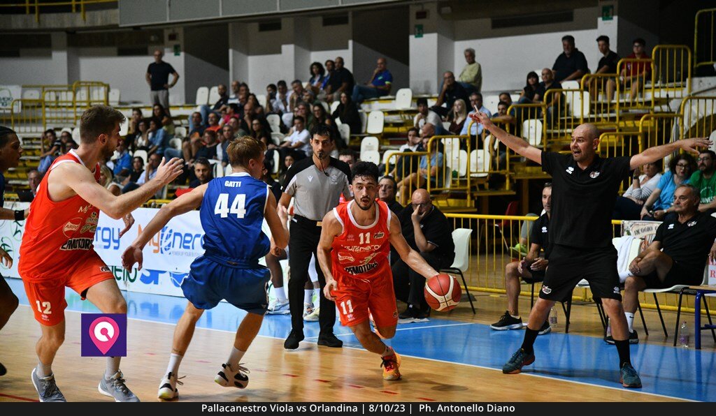 Viola Orlandina (66)