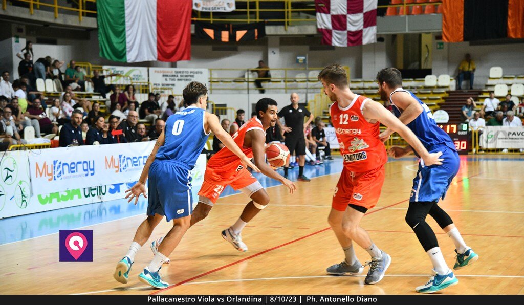 Viola Orlandina (71)