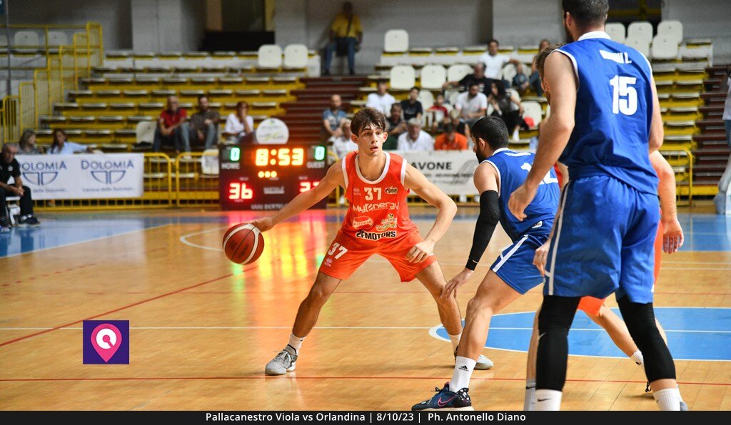 Viola Orlandina (72)