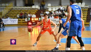 Viola Orlandina (72)