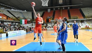 Viola Orlandina (73)