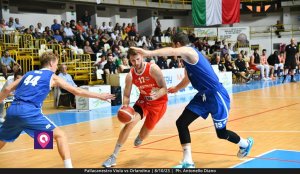 Viola Orlandina (74)