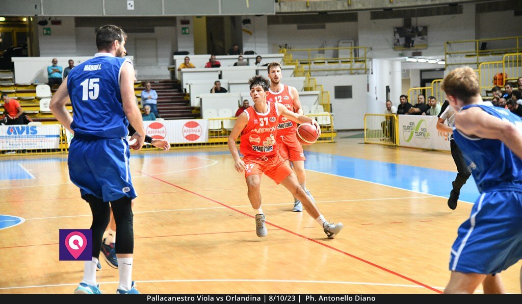 Viola Orlandina (75)