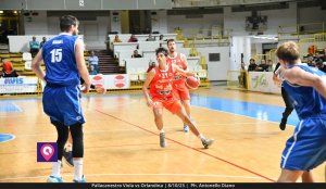 Viola Orlandina (75)