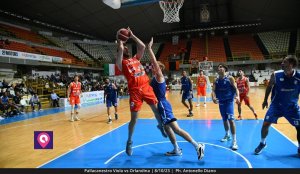 Viola Orlandina (77)