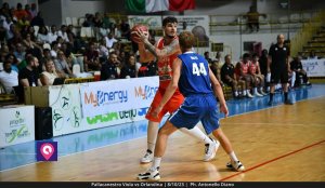 Viola Orlandina (78)