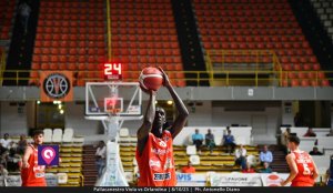 Viola Orlandina (79)