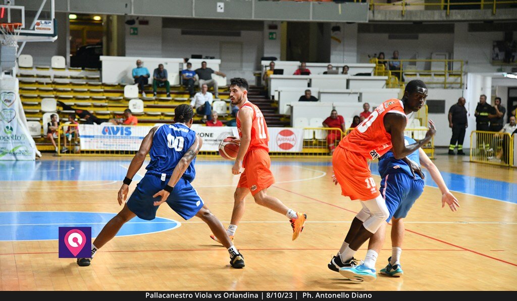 Viola Orlandina (80)