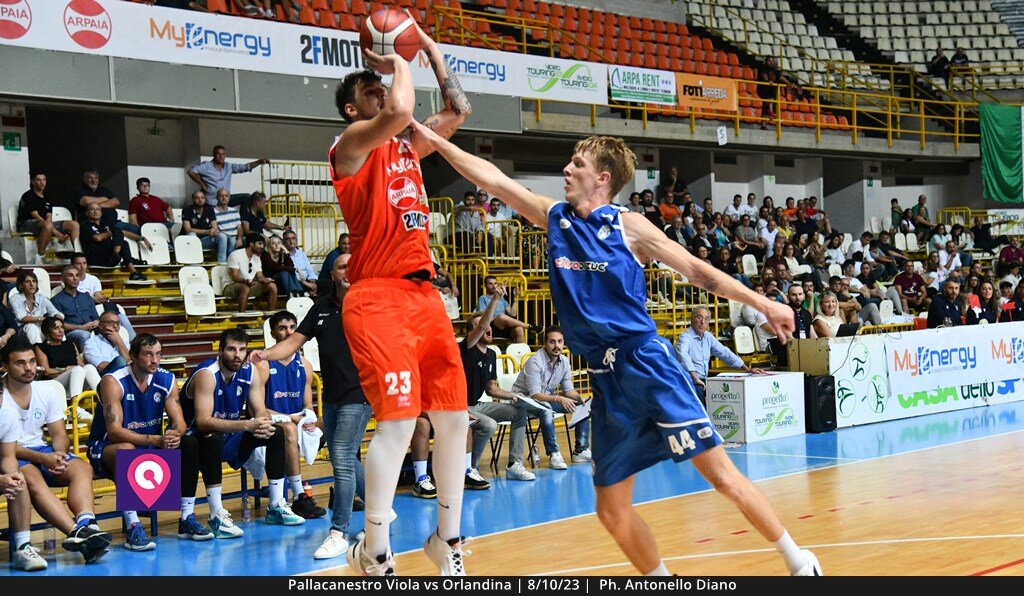 Viola Orlandina (81)