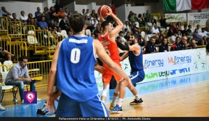 Viola Orlandina (82)