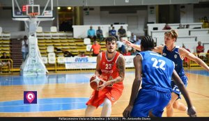 Viola Orlandina (83)